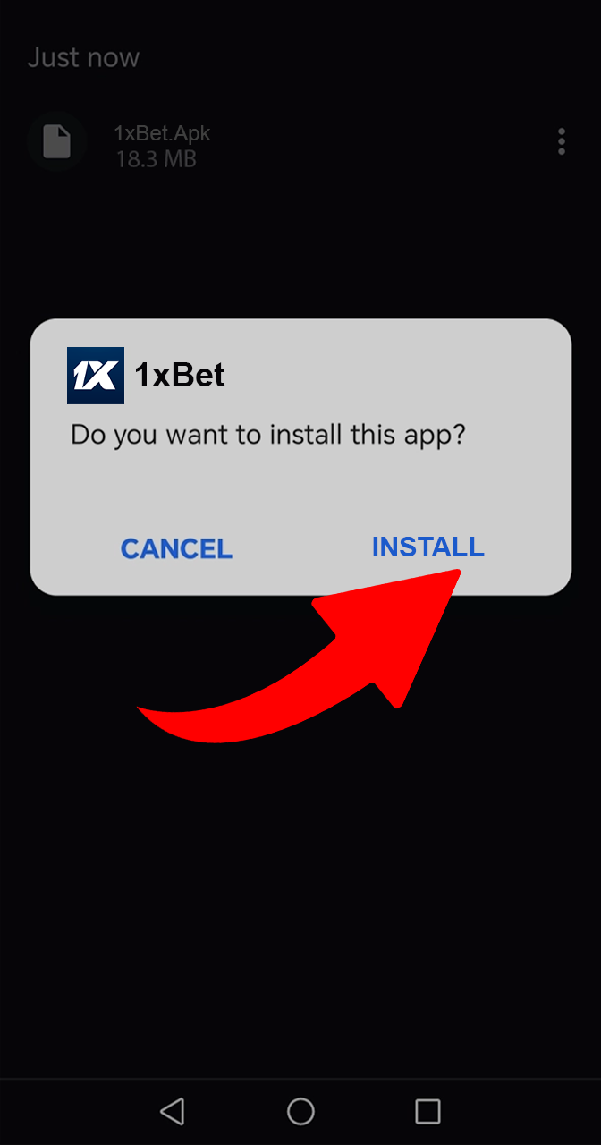 Confirm the installation of the application before starting to play Aviamasters.